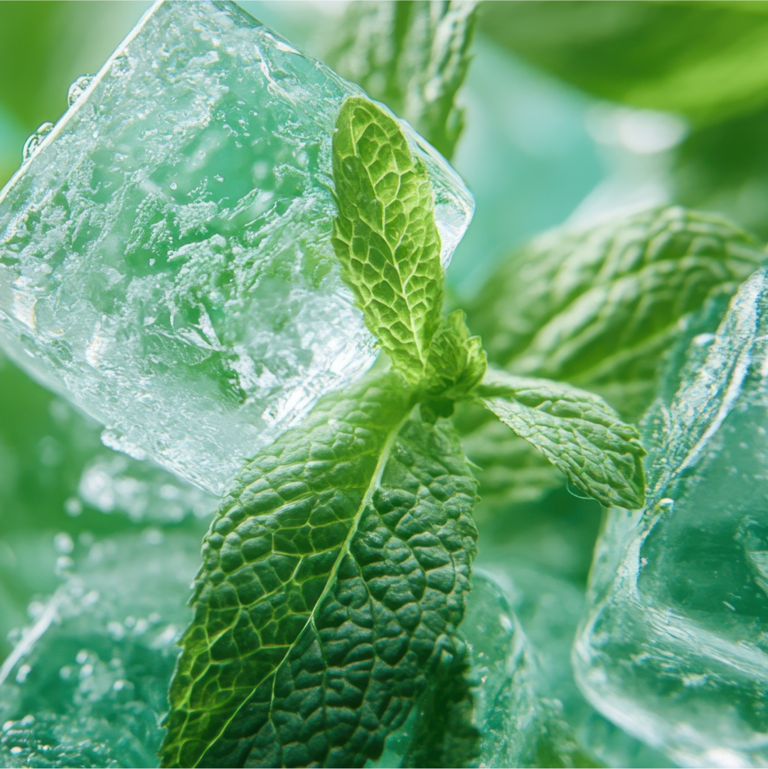 GGGJ Mushroom Pouches Mint